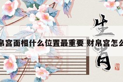 财帛宫面相什么位置最重要 财帛宫怎么念