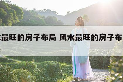 风水最旺的房子布局 风水最旺的房子布局大平层