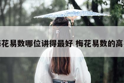 梅花易数哪位讲得最好 梅花易数的高手