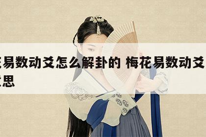 梅花易数动爻怎么解卦的 梅花易数动爻是什么意思