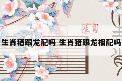 生肖猪跟龙配吗 生肖猪跟龙相配吗
