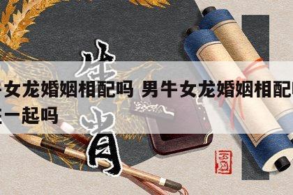男牛女龙婚姻相配吗 男牛女龙婚姻相配吗适合在一起吗