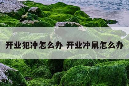 开业犯冲怎么办 开业冲鼠怎么办