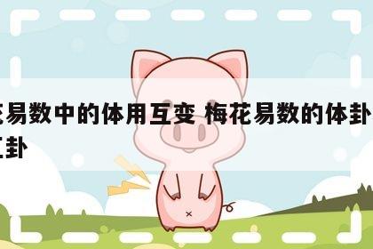 梅花易数中的体用互变 梅花易数的体卦和用卦互卦