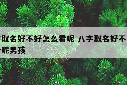 八字取名好不好怎么看呢 八字取名好不好怎么看呢男孩