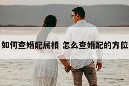 如何查婚配属相 怎么查婚配的方位