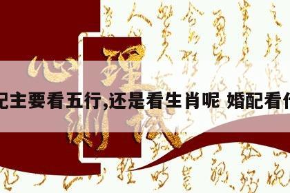 婚配主要看五行,还是看生肖呢 婚配看什么