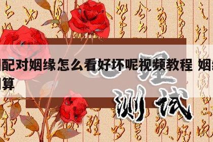 婚姻配对姻缘怎么看好坏呢视频教程 姻缘配对测算