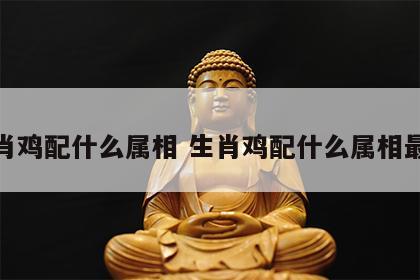 生肖鸡配什么属相 生肖鸡配什么属相最好
