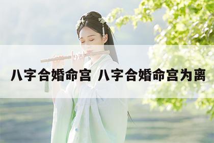八字合婚命宫 八字合婚命宫为离