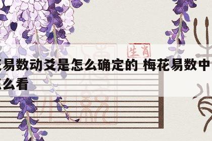 梅花易数动爻是怎么确定的 梅花易数中的动爻怎么看