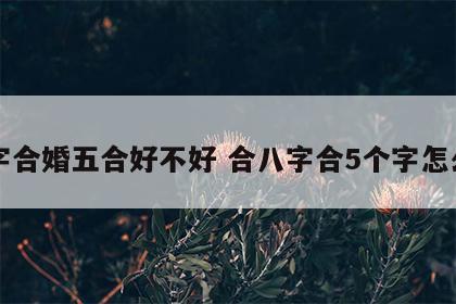 八字合婚五合好不好 合八字合5个字怎么样