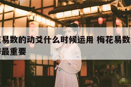 梅花易数的动爻什么时候运用 梅花易数动爻爻辞最重要