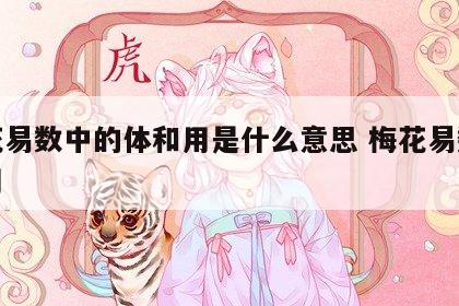 梅花易数中的体和用是什么意思 梅花易数之体用