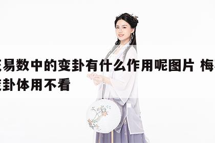 梅花易数中的变卦有什么作用呢图片 梅花易数变卦体用不看