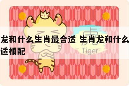生肖龙和什么生肖最合适 生肖龙和什么生肖最合适相配