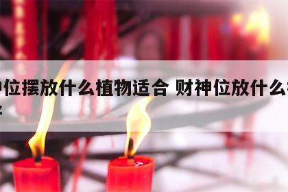 财神位摆放什么植物适合 财神位放什么植物最好