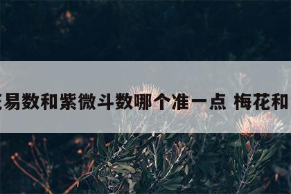 梅花易数和紫微斗数哪个准一点 梅花和紫薇