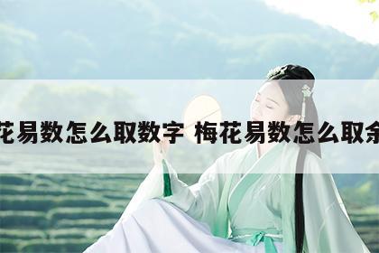 梅花易数怎么取数字 梅花易数怎么取余数