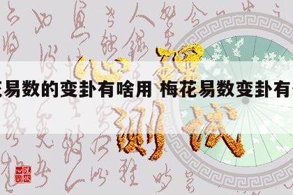 梅花易数的变卦有啥用 梅花易数变卦有什么用