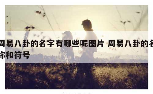 周易八卦的名字有哪些呢图片 周易八卦的名称和符号