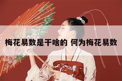 梅花易数是干啥的 何为梅花易数
