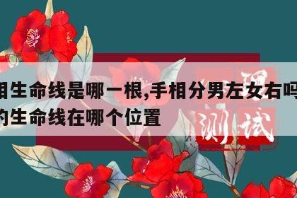 手相生命线是哪一根,手相分男左女右吗 手相的生命线在哪个位置