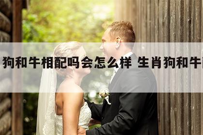 生肖狗和牛相配吗会怎么样 生肖狗和牛配吗?