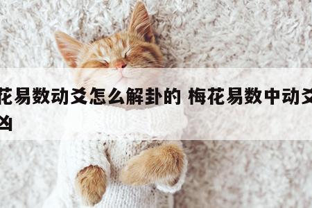 梅花易数动爻怎么解卦的 梅花易数中动爻断吉凶