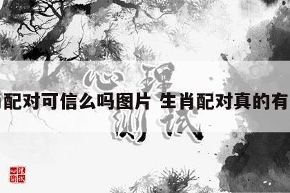 生肖配对可信么吗图片 生肖配对真的有用吗