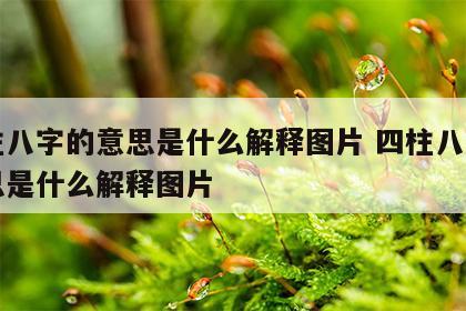四柱八字的意思是什么解释图片 四柱八字的意思是什么解释图片