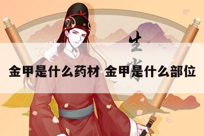 金甲是什么药材 金甲是什么部位
