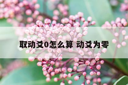 取动爻0怎么算 动爻为零