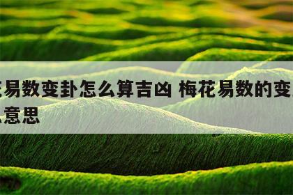梅花易数变卦怎么算吉凶 梅花易数的变卦是什么意思