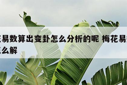 梅花易数算出变卦怎么分析的呢 梅花易数变卦怎么解