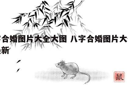 八字合婚图片大全大图 八字合婚图片大全大图最新