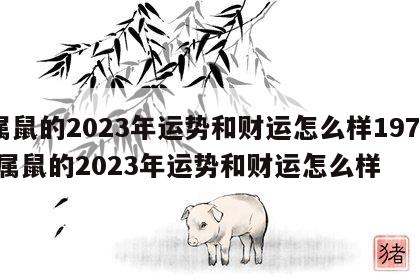 属鼠的2023年运势和财运怎么样1972 属鼠的2023年运势和财运怎么样