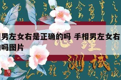 手相男左女右是正确的吗 手相男左女右是正确的吗图片