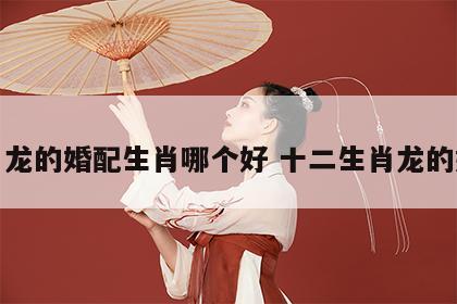 生肖龙的婚配生肖哪个好 十二生肖龙的婚配