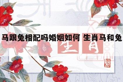 生肖马跟兔相配吗婚姻如何 生肖马和兔合不合