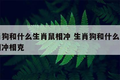 生肖狗和什么生肖鼠相冲 生肖狗和什么生肖鼠相冲相克