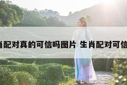 生肖配对真的可信吗图片 生肖配对可信吗?