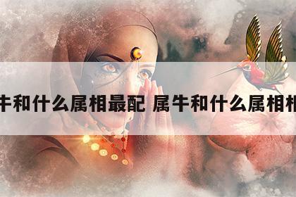 属牛和什么属相最配 属牛和什么属相相冲