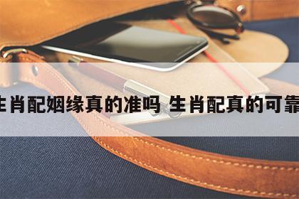 生肖配姻缘真的准吗 生肖配真的可靠?