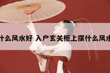 摆什么风水好 入户玄关柜上摆什么风水好
