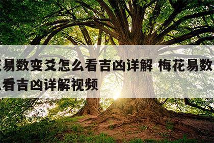梅花易数变爻怎么看吉凶详解 梅花易数变爻怎么看吉凶详解视频