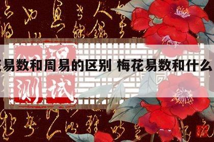 梅花易数和周易的区别 梅花易数和什么一起学
