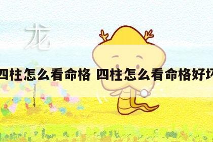 四柱怎么看命格 四柱怎么看命格好坏
