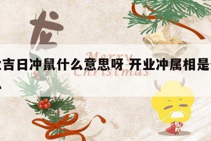 开业吉日冲鼠什么意思呀 开业冲属相是什么意思