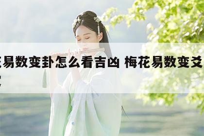 梅花易数变卦怎么看吉凶 梅花易数变爻怎么确定